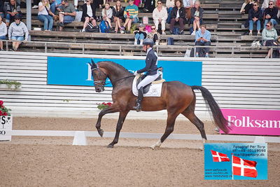 folksam open 4års dressur
dressur
Keywords: falsterbo;helen johansson;ninnis seabank