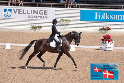 CDI1 Lilla Rundan Prix St. Georges
Keywords: falsterbo