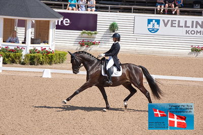 CDI1 Lilla Rundan Prix St. Georges
Keywords: falsterbo