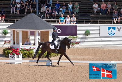 CDI1 Lilla Rundan Prix St. Georges
Keywords: falsterbo