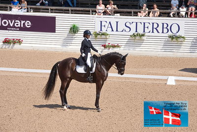 CDI1 Lilla Rundan Prix St. Georges
Keywords: falsterbo