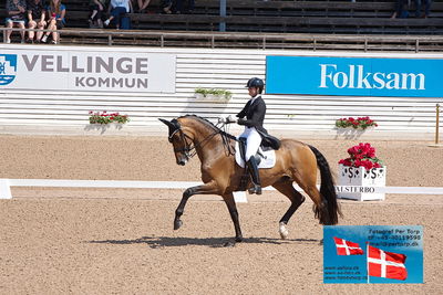 CDI1 Lilla Rundan Prix St. Georges
Keywords: falsterbo;susanne barnov;skovdals dexter