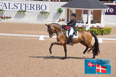 CDI1 Lilla Rundan Prix St. Georges
Keywords: falsterbo;susanne barnov;skovdals dexter