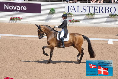 CDI1 Lilla Rundan Prix St. Georges
Keywords: falsterbo;susanne barnov;skovdals dexter