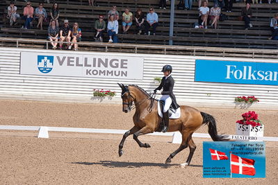 CDI1 Lilla Rundan Prix St. Georges
Keywords: falsterbo;susanne barnov;skovdals dexter