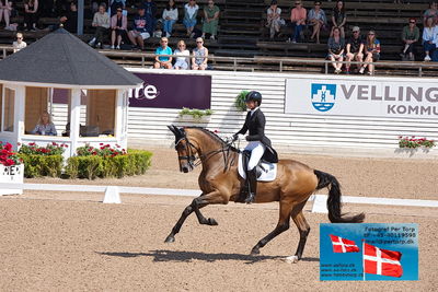 CDI1 Lilla Rundan Prix St. Georges
Keywords: falsterbo;susanne barnov;skovdals dexter