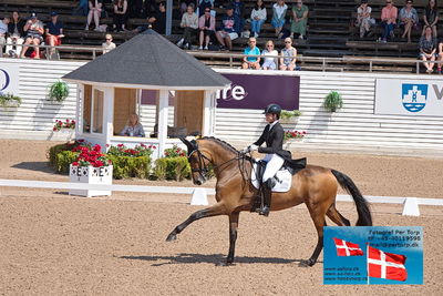 CDI1 Lilla Rundan Prix St. Georges
Keywords: falsterbo;susanne barnov;skovdals dexter