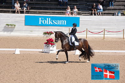 CDI1 Lilla Rundan Prix St. Georges
Keywords: buskhagas tsjai;falsterbo;linnea holmgren