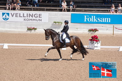 CDI1 Lilla Rundan Prix St. Georges
Keywords: buskhagas tsjai;falsterbo;linnea holmgren