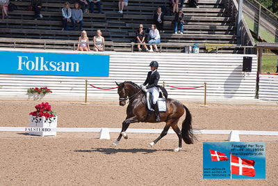 CDI1 Lilla Rundan Prix St. Georges
Keywords: buskhagas tsjai;falsterbo;linnea holmgren