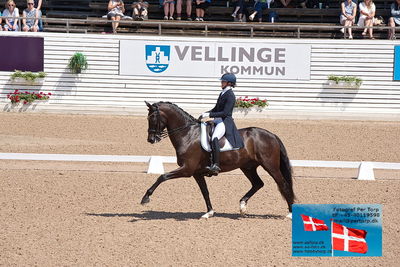 CDI1 Lilla Rundan Prix St. Georges
Keywords: falsterbo;filippa norrman;buskhagas dasras