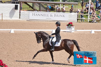 CDI1 Lilla Rundan Prix St. Georges
Keywords: falsterbo;anna kasprzak;danciero 7