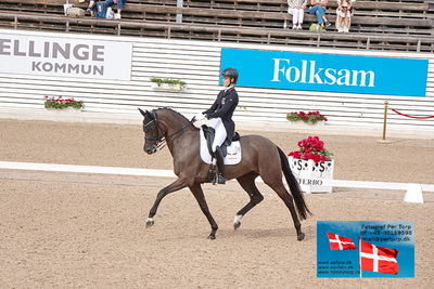 CDI3 Grand Prix
Keywords: falsterbo;carina scholz;soiree d&#039;amour old