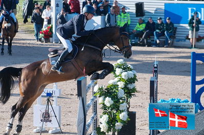 fQualifier for Agria Grand Prix 150cm
Keywords: falsterbo;carsten-otto nagel;drumiller true blue