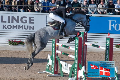 fQualifier for Agria Grand Prix 150cm
Keywords: falsterbo;alain jufer;dark grey mm