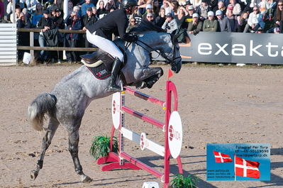 fQualifier for Agria Grand Prix 150cm
Keywords: falsterbo;alain jufer;dark grey mm