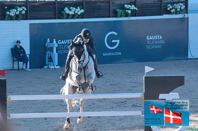 fQualifier for Agria Grand Prix 150cm
Keywords: falsterbo;soeren moeller rohde;action man ask