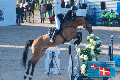 fQualifier for Agria Grand Prix 150cm
Keywords: falsterbo;andre thieme;cardani ps