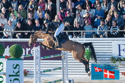 fQualifier for Agria Grand Prix 150cm
Keywords: falsterbo;andre thieme;cardani ps