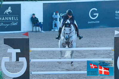 fQualifier for Agria Grand Prix 150cm
Keywords: falsterbo;therese soehol henriksen;iron maiden