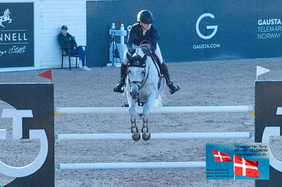 fQualifier for Agria Grand Prix 150cm
Keywords: falsterbo;therese soehol henriksen;iron maiden