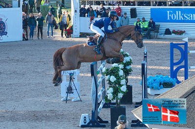 fQualifier for Agria Grand Prix 150cm
Keywords: falsterbo;julien gonin;caprice de guinfard