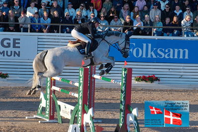 fQualifier for Agria Grand Prix 150cm
Keywords: falsterbo;sophie hinners;iron dames my prins