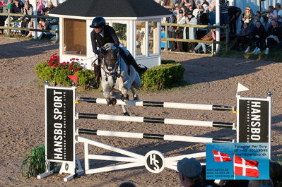 fQualifier for Agria Grand Prix 150cm
Keywords: falsterbo;sophie hinners;iron dames my prins