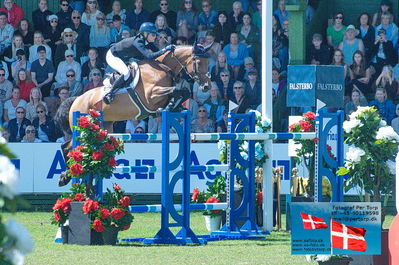 ffalsterbo gp 160cm
Keywords: falsterbo;petronella andersson;odina van klapscheut