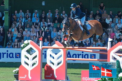 ffalsterbo gp 160cm
Keywords: falsterbo;alessandra reich;oeli r