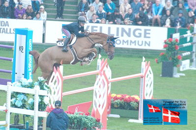 1 kval til falsterbo randprix
150cm
Keywords: falsterbo;francesca ciriesi;cape coral