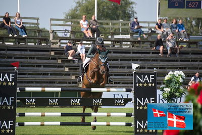 ffive star pony grandprix
showjumping
Keywords: falsterbo;lovisa gelin;tynagh lady