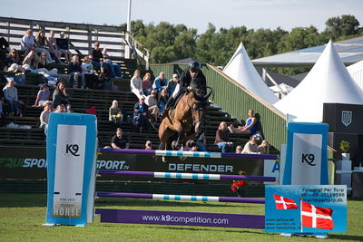 Stiftelsen Falsterbo Horse Show Prize
145cm
Keywords: falsterbo;abdel said;calvaro