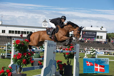 Stiftelsen Falsterbo Horse Show Prize
145cm
Keywords: falsterbo;abdel said;calvaro