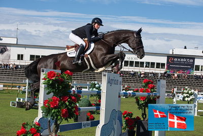 Stiftelsen Falsterbo Horse Show Prize
145cm
Keywords: falsterbo;sophie hinners;speciel life