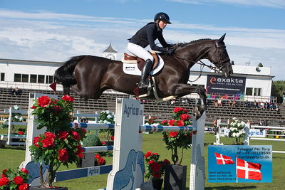 Stiftelsen Falsterbo Horse Show Prize
145cm
Keywords: falsterbo;sophie hinners;speciel life