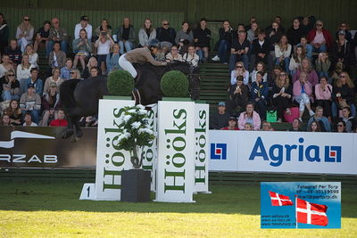 Stiftelsen Falsterbo Horse Show Prize
145cm
Keywords: falsterbo;marie pellegrin;fini l'amour