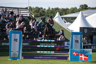 Stiftelsen Falsterbo Horse Show Prize
145cm
Keywords: falsterbo;marie pellegrin;fini l'amour