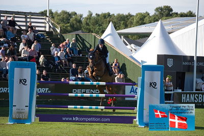 Stiftelsen Falsterbo Horse Show Prize
145cm
Keywords: falsterbo;zoe conter;lazy