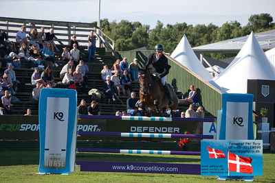 Stiftelsen Falsterbo Horse Show Prize
145cm
Keywords: falsterbo;alain jufer;dante mm