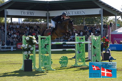 Stiftelsen Falsterbo Horse Show Prize
145cm
Keywords: falsterbo;alain jufer;dante mm