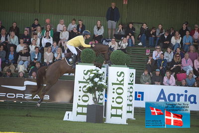 Stiftelsen Falsterbo Horse Show Prize
145cm
Keywords: falsterbo;yuri mansur;fifty fifty emily