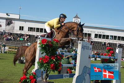 Stiftelsen Falsterbo Horse Show Prize
145cm
Keywords: falsterbo;yuri mansur;fifty fifty emily