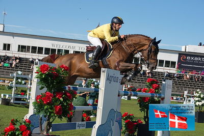 Stiftelsen Falsterbo Horse Show Prize
145cm
Keywords: falsterbo;yuri mansur;fifty fifty emily