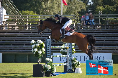 Stiftelsen Falsterbo Horse Show Prize
145cm
Keywords: falsterbo;takashi haase shibayama;karamell m&m