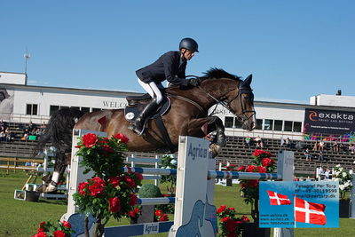 Stiftelsen Falsterbo Horse Show Prize
145cm
Keywords: falsterbo;carsten-otto nagel;cancaneur