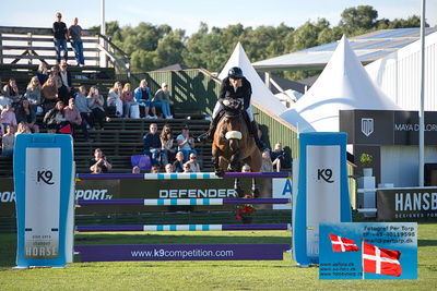 Stiftelsen Falsterbo Horse Show Prize
145cm
Keywords: falsterbo;peder fredricson;h&m bahia