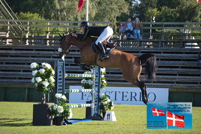 Stiftelsen Falsterbo Horse Show Prize
145cm
Keywords: falsterbo;peder fredricson;h&m bahia