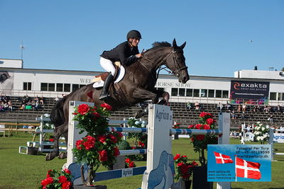 Stiftelsen Falsterbo Horse Show Prize
145cm
Keywords: falsterbo;paal flam;omonza d c