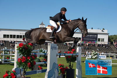 Stiftelsen Falsterbo Horse Show Prize
145cm
Keywords: falsterbo;paal flam;omonza d c